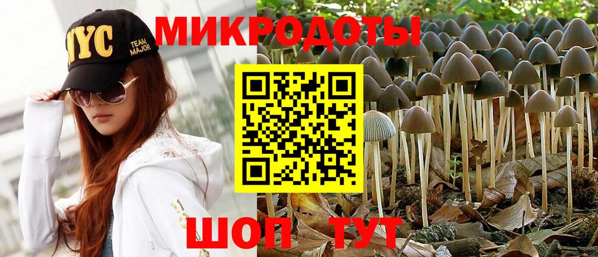 Печора  Псилоцибиновые грибы GOLDEN TEACHER  Вход с VPN 