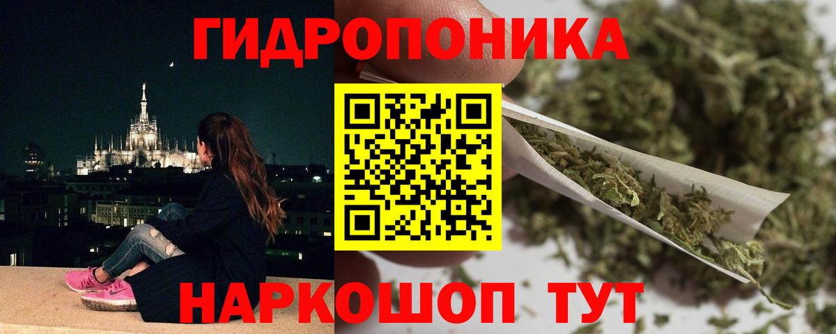 Шишки марихуана OG Kush  Каннабис конопля  Канабис сатива  Каннабис сатива  Печора  Вход с VPN 